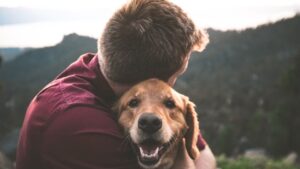 Ingresos de seguros de mascotas superarán los 11,600 mdd para 2027: Global Market Insights