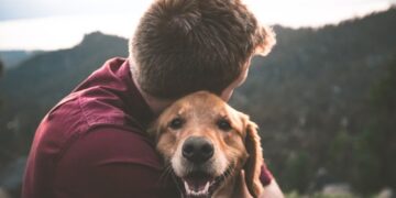 Ingresos de seguros de mascotas superarán los 11,600 mdd para 2027: Global Market Insights