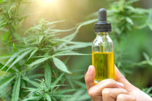 Usos médicos de cannabis según Luis Doporto Alejandre