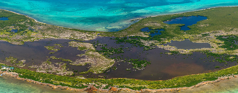 Acciones de SAC-TUN para la conservación ambiental del Caribe mexicano