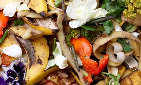 Industria alimentaria enfoca reciclaje con Corporativo Kosmos