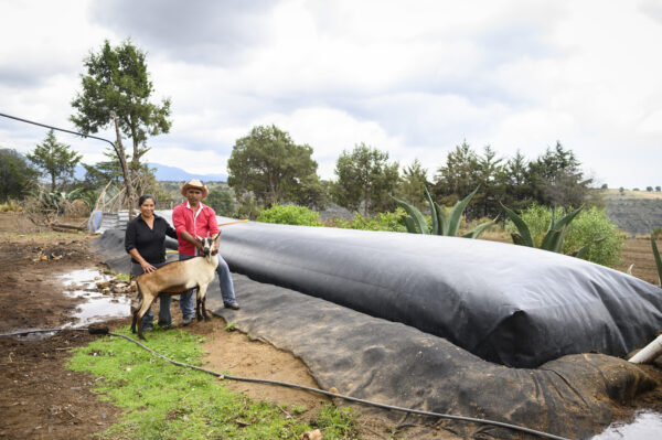 Sistema.Bio revoluciona prácticas ambientales con biotecnología avanzada