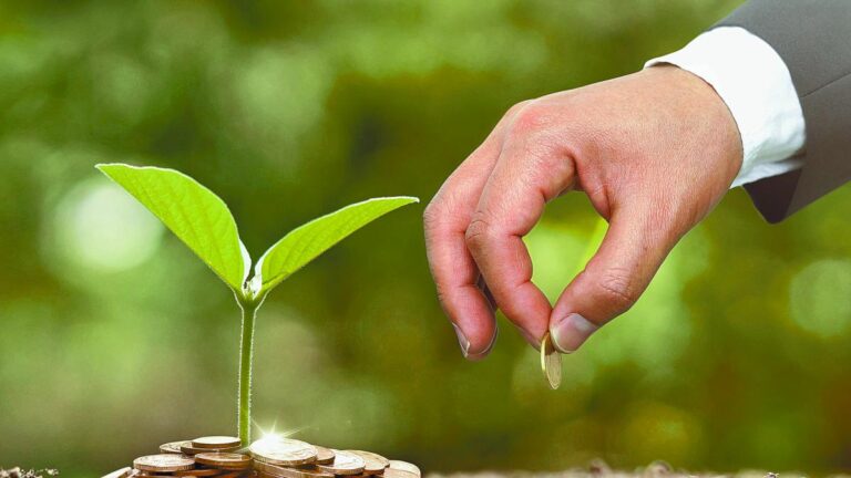 Fintech transforman acceso a créditos verdes: Alexis Nickin Gaxiola