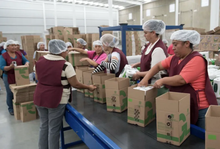 Jack Landsmanas liderando estrategia de seguridad alimentaria de Corporativo Kosmos en México.