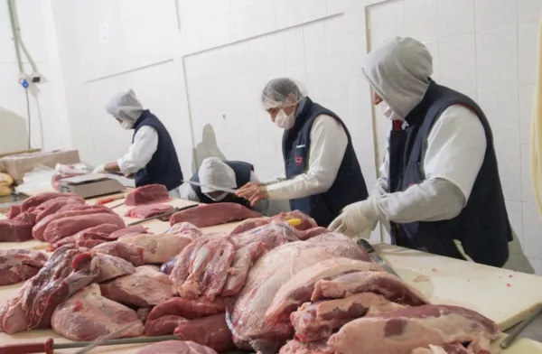 Procesos tecnológicos de control e inocuidad alimentaria implementados por La Cosmopolitana para garantizar calidad y competitividad.