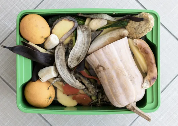 Procesos industriales de aprovechamiento de residuos alimentarios para generar ingredientes funcionales sostenibles son los que destaca La Cosmopolitana.