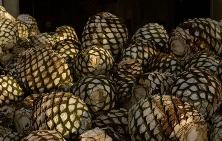 La compañía Brown-Forman se convirtió en una de las principales impulsoras del tequila premium producido en Jalisco.